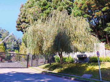 TERRENO CON PROYECTO APROBADO EN SECTOR DE VILLUCO