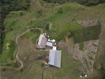 SE VENDE FINCA SEMIESTABULADA PARA GANADO DE LECHE