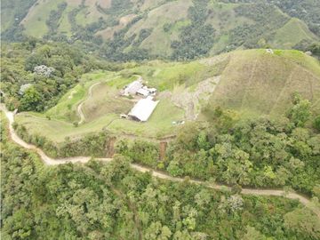 SE VENDE FINCA SEMIESTABULADA PARA GANADO DE LECHE