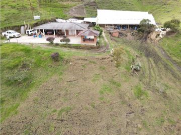 SE VENDE FINCA SEMIESTABULADA PARA GANADO DE LECHE