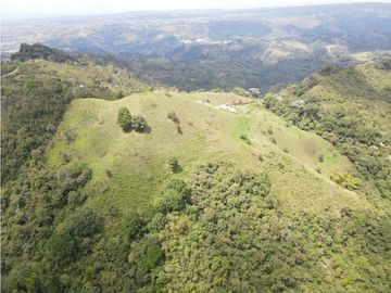 SE VENDE FINCA SEMIESTABULADA PARA GANADO DE LECHE
