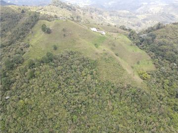 SE VENDE FINCA SEMIESTABULADA PARA GANADO DE LECHE