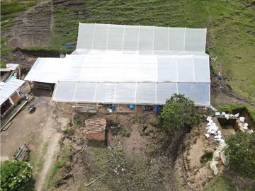 SE VENDE FINCA SEMIESTABULADA PARA GANADO DE LECHE