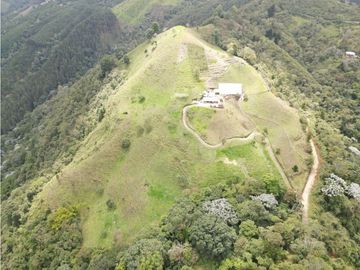SE VENDE FINCA SEMIESTABULADA PARA GANADO DE LECHE