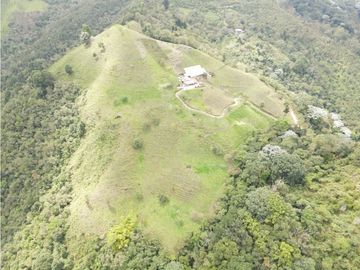 SE VENDE FINCA SEMIESTABULADA PARA GANADO DE LECHE