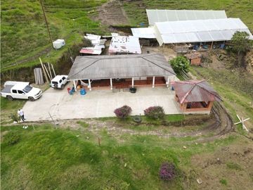 SE VENDE FINCA SEMIESTABULADA PARA GANADO DE LECHE