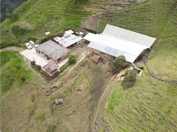 SE VENDE FINCA SEMIESTABULADA PARA GANADO DE LECHE