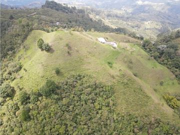 SE VENDE FINCA SEMIESTABULADA PARA GANADO DE LECHE