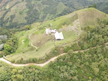 SE VENDE FINCA SEMIESTABULADA PARA GANADO DE LECHE