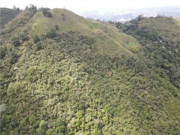 SE VENDE FINCA SEMIESTABULADA PARA GANADO DE LECHE