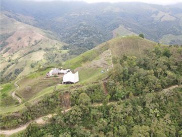 SE VENDE FINCA SEMIESTABULADA PARA GANADO DE LECHE