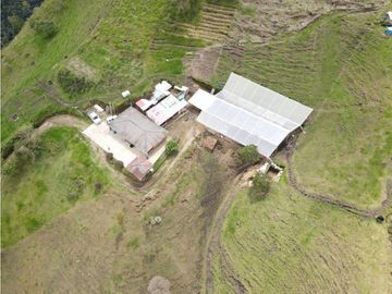 SE VENDE FINCA SEMIESTABULADA PARA GANADO DE LECHE
