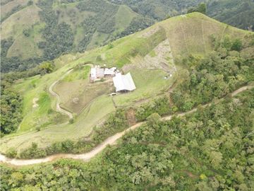 SE VENDE FINCA SEMIESTABULADA PARA GANADO DE LECHE
