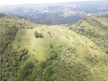 SE VENDE FINCA SEMIESTABULADA PARA GANADO DE LECHE