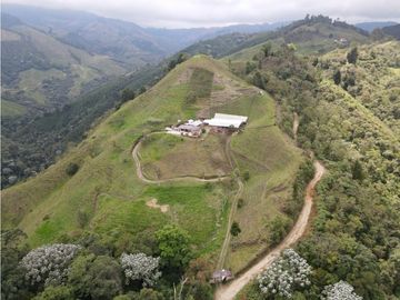 SE VENDE FINCA SEMIESTABULADA PARA GANADO DE LECHE