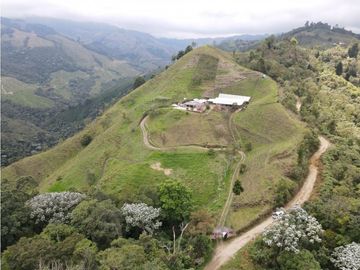 SE VENDE FINCA SEMIESTABULADA PARA GANADO DE LECHE
