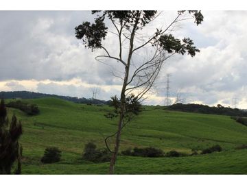 Lote en Venta en Yarumal