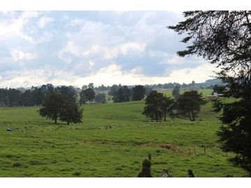 Lote en Venta en Yarumal