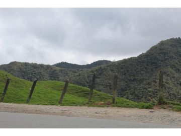 Lote en Venta en Yarumal
