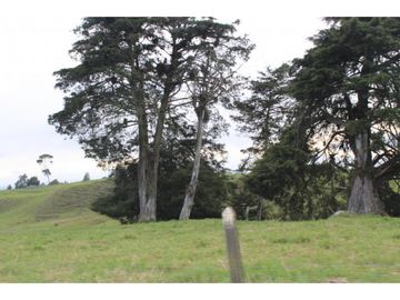 Lote en Venta en Yarumal