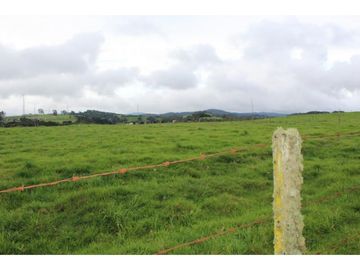 Lote en Venta en Yarumal