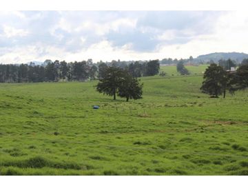 Lote en Venta en Yarumal