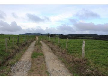 Lote en Venta en Yarumal