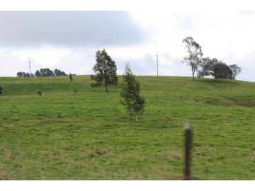 Lote en Venta en Yarumal