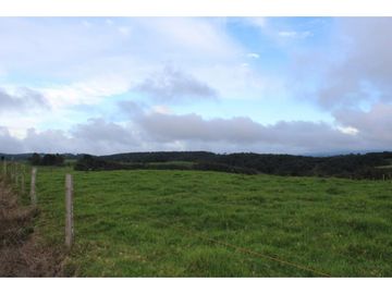Lote en Venta en Yarumal