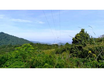 Lote En Minca Por La Via Al Campano Santa Marta Colombia