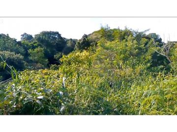 Lote En Minca Por La Via Al Campano Santa Marta Colombia