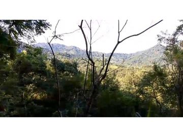 Lote En Minca Por La Via Al Campano Santa Marta Colombia