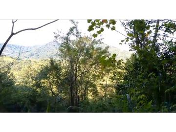 Lote En Minca Por La Via Al Campano Santa Marta Colombia