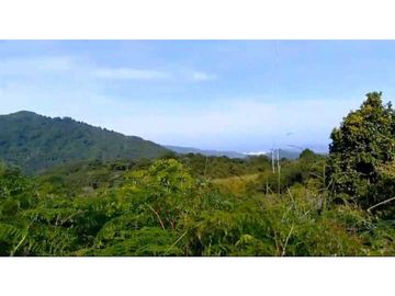 Lote En Minca Por La Via Al Campano Santa Marta Colombia