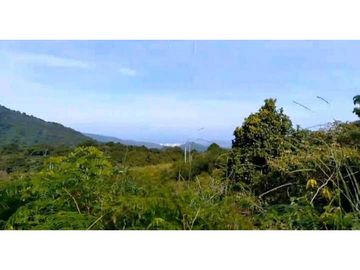 Lote En Minca Por La Via Al Campano Santa Marta Colombia