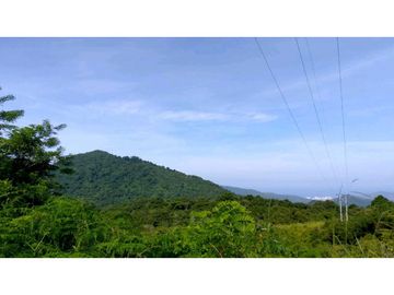 Lote En Minca Por La Via Al Campano Santa Marta Colombia
