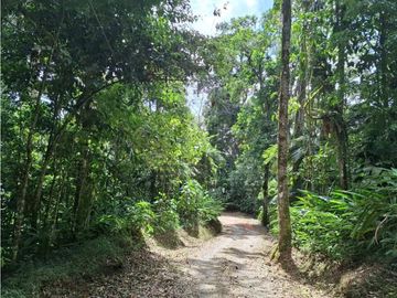 Se vende casa lote en conjunto cerrado Circasia