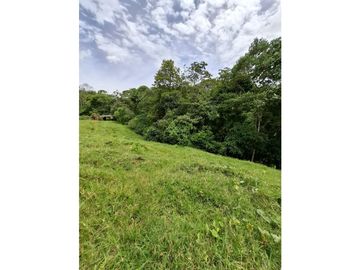 Se vende casa lote en conjunto cerrado Circasia