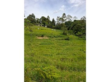 Se vende casa lote en conjunto cerrado Circasia