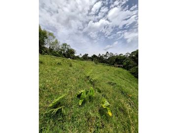 Se vende casa lote en conjunto cerrado Circasia