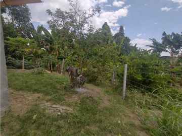 Oportunidad inversión turística! Se vende finca Via Alcala-Filandia