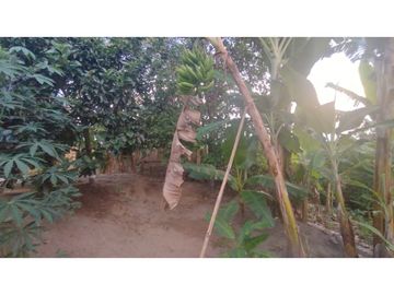 Oportunidad inversión turística! Se vende finca Via Alcala-Filandia