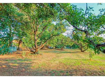 TERRENO EN VENTA TOTALMENTE PLANO A UNOS MINUTOS DE AVNDARO.