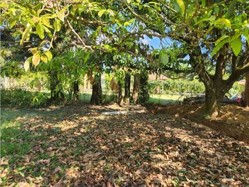 TERRENO EN VENTA TOTALMENTE PLANO A UNOS MINUTOS DE AVNDARO.