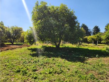TERRENO EN VENTA TOTALMENTE PLANO A UNOS MINUTOS DE AVNDARO.