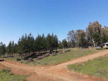 Parcela en Venta en Rucapequen, Flor del Itata, parcelas con Rol