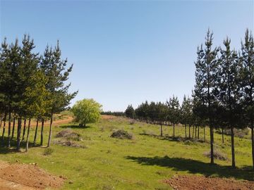 Parcela en Venta en Rucapequen, Flor del Itata, parcelas con Rol