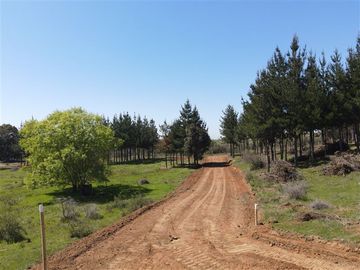 Parcela en Venta en Rucapequen, Flor del Itata, parcelas con Rol