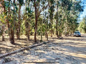 Hermosa Casa de Campo en parcela de 1ha. en La Foresta de Zapallar