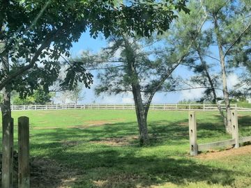 TERRENO CAMPESTRE EN VENTA FRACCIONAMIENTO PRIVADO SANTA CATALINA